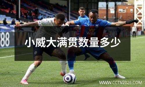 小威大满贯数量多少