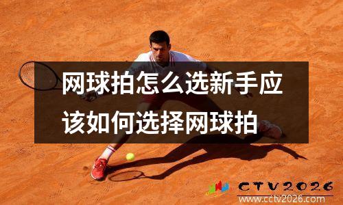 网球拍怎么选新手应该如何选择网球拍