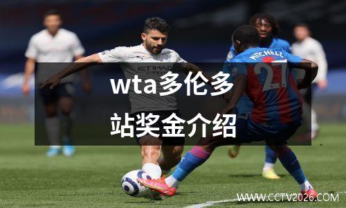 wta多伦多站奖金介绍