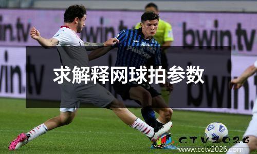 求解释网球拍参数