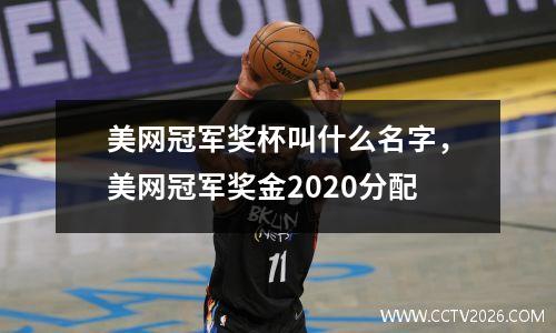 美网冠军奖杯叫什么名字，美网冠军奖金2020分配