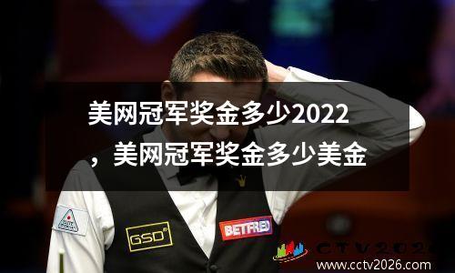 美网冠军奖金多少2022，美网冠军奖金多少美金