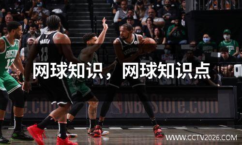 网球知识，网球知识点