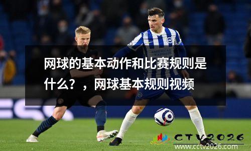 网球的基本动作和比赛规则是什么？，网球基本规则视频