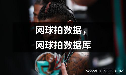 网球拍数据，网球拍数据库