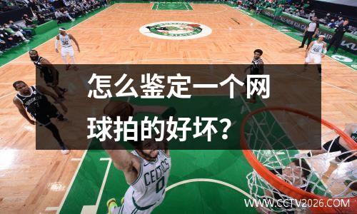 怎么鉴定一个网球拍的好坏？