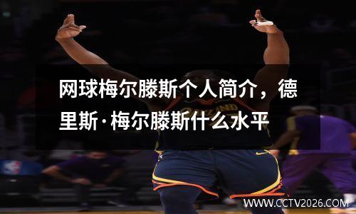 网球梅尔滕斯个人简介，德里斯·梅尔滕斯什么水平