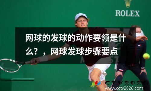 网球的发球的动作要领是什么？，网球发球步骤要点