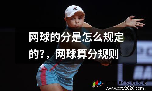 网球的分是怎么规定的?，网球算分规则