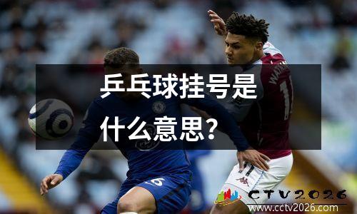 乒乓球挂号是什么意思？