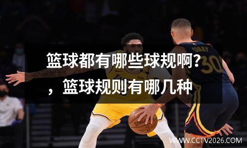 篮球都有哪些球规啊？，篮球规则有哪几种