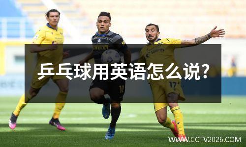 乒乓球用英语怎么说?