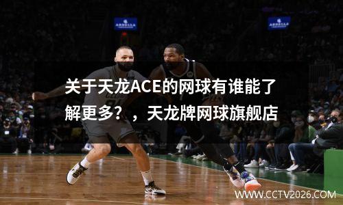 关于天龙ACE的网球有谁能了解更多？，天龙牌网球旗舰店