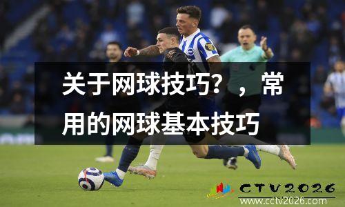 关于网球技巧？，常用的网球基本技巧