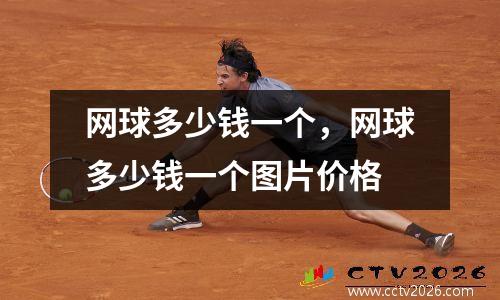网球多少钱一个，网球多少钱一个图片价格