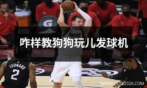 咋样教狗狗玩儿发球机