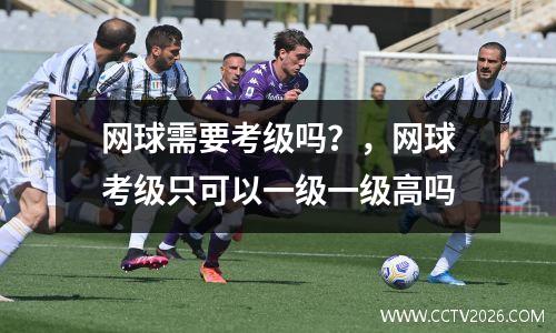 网球需要考级吗？，网球考级只可以一级一级高吗