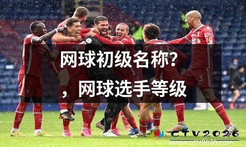 网球初级名称？，网球选手等级