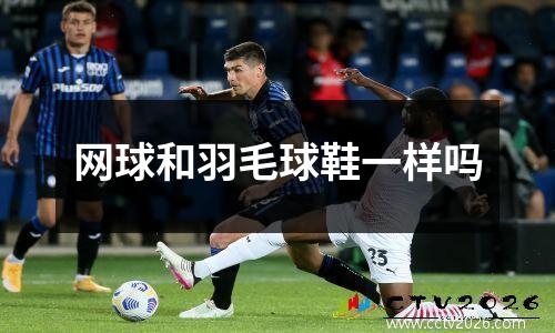 网球和羽毛球鞋一样吗