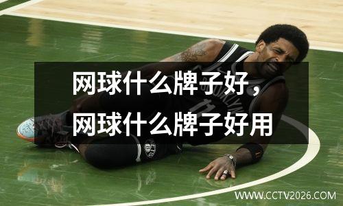 网球什么牌子好，网球什么牌子好用