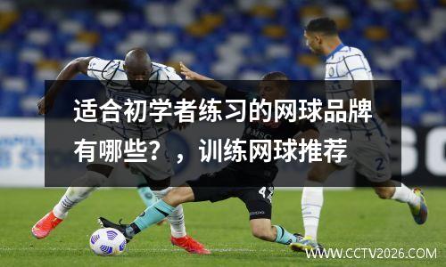适合初学者练习的网球品牌有哪些？，训练网球推荐