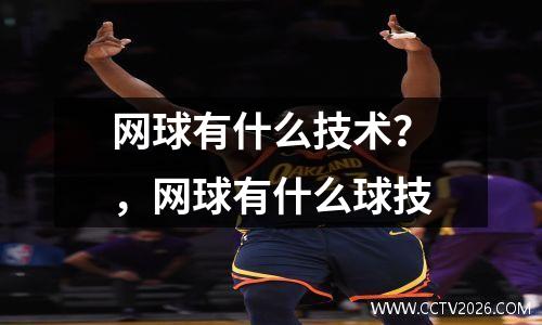 网球有什么技术？，网球有什么球技