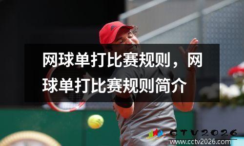 网球单打比赛规则，网球单打比赛规则简介
