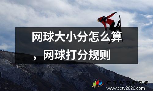 网球大小分怎么算，网球打分规则