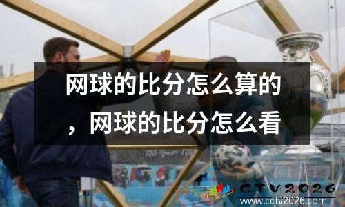 网球的比分怎么算的，网球的比分怎么看