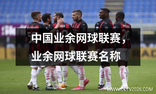 中国业余网球联赛，业余网球联赛名称