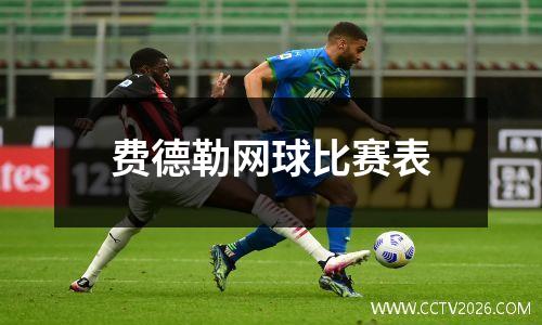 费德勒网球比赛表