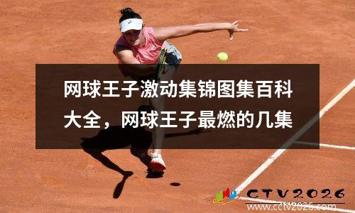 网球王子激动集锦图集百科大全，网球王子最燃的几集