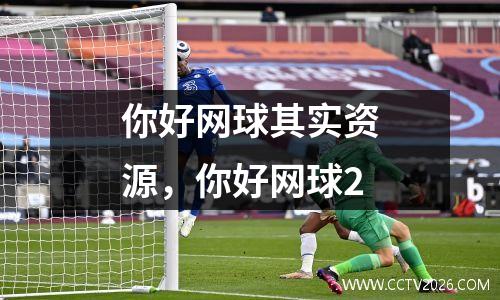 你好网球其实资源，你好网球2