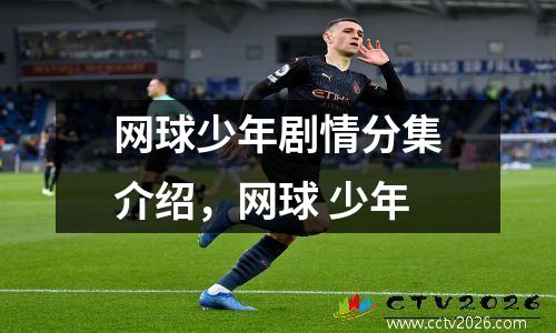 网球少年剧情分集介绍，网球 少年