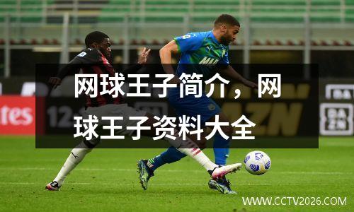 网球王子简介，网球王子资料大全