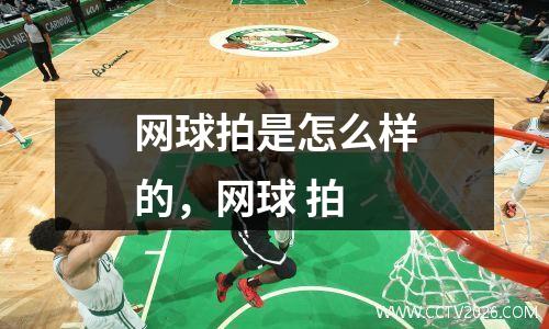 网球拍是怎么样的，网球 拍