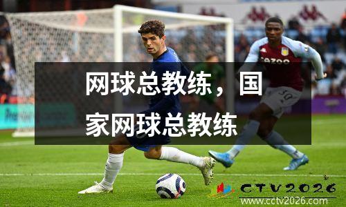 网球总教练，国家网球总教练