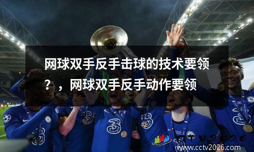 网球双手反手击球的技术要领？，网球双手反手动作要领