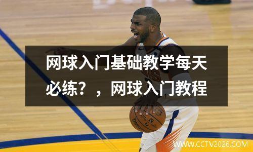 网球入门基础教学每天必练？，网球入门教程
