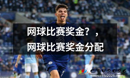 网球比赛奖金？，网球比赛奖金分配