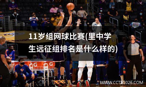 11岁组网球比赛(里中学生远征组排名是什么样的)