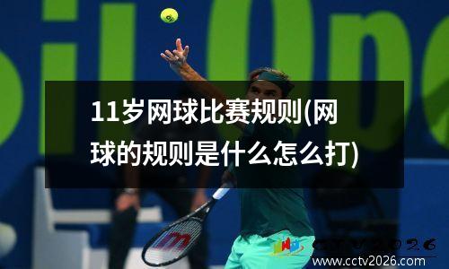 11岁网球比赛规则(网球的规则是什么怎么打)