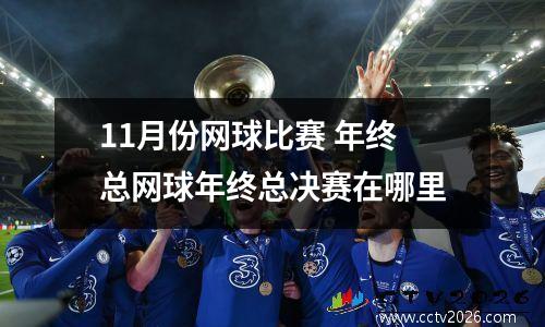 11月份网球比赛 年终总网球年终总决赛在哪里