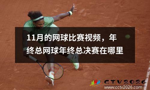 11月的网球比赛视频，年终总网球年终总决赛在哪里
