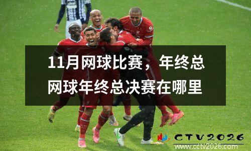 11月网球比赛，年终总网球年终总决赛在哪里