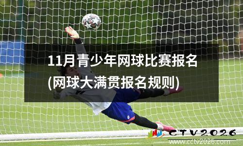 11月青少年网球比赛报名(网球大满贯报名规则)