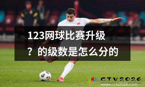123网球比赛升级？的级数是怎么分的