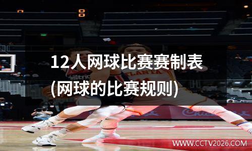 12人网球比赛赛制表(网球的比赛规则)