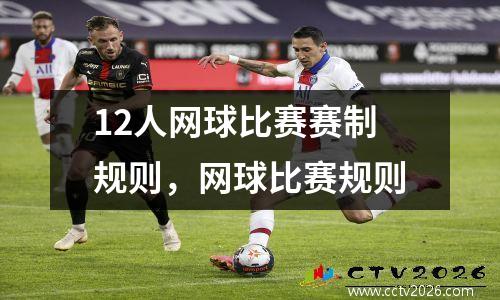 12人网球比赛赛制规则，网球比赛规则