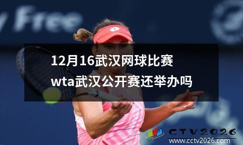 12月16武汉网球比赛 wta武汉公开赛还举办吗